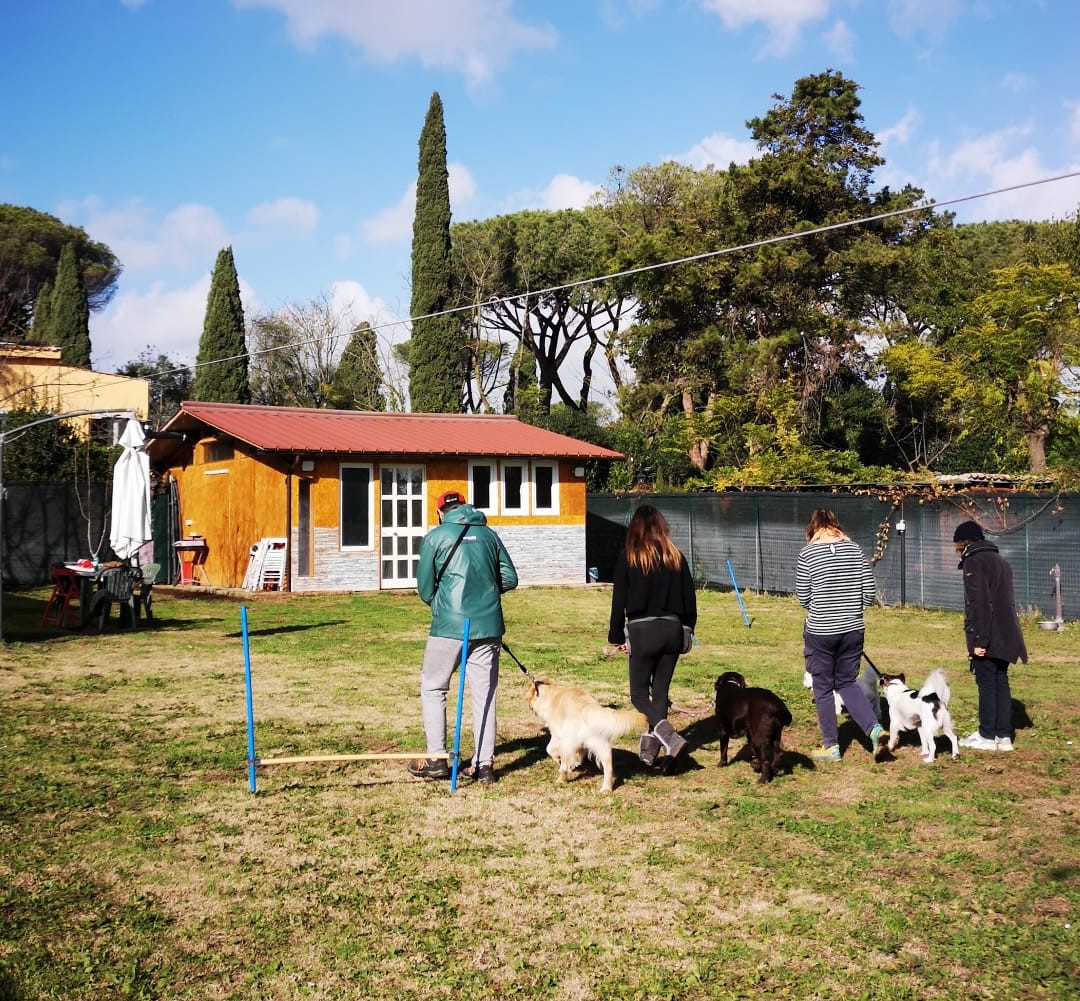 Classi di socializzazione